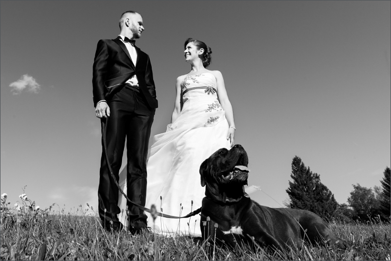 Brautpaar Fotoshootin mit Hund beim Paffenberg in der Nähe von Zell im Wiesental